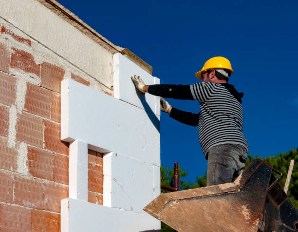 Best Insulation Inspection Services  in West Pleasant View, CO